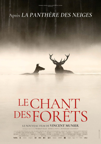 le chant des forets